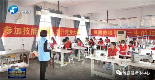 河南 拓寬就業路 引得燕回巢