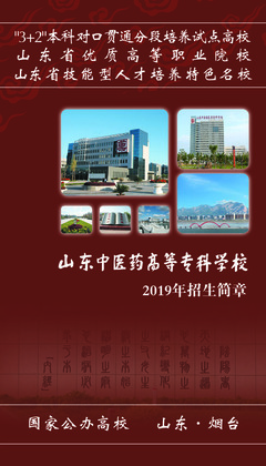 2019年普通專科招生簡章與職業(yè)中介活動解析