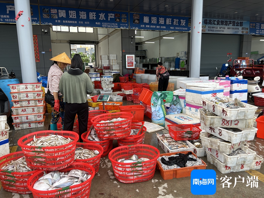 臨高漁港 滿(mǎn)載而歸交易忙，水產(chǎn)市場(chǎng)購(gòu)銷(xiāo)旺