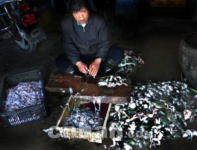 從死牛蛙到“田雞” 水產(chǎn)品收購(gòu)鏈條中的加工環(huán)節(jié)解析